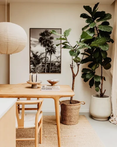 Prints Collection 70x100
