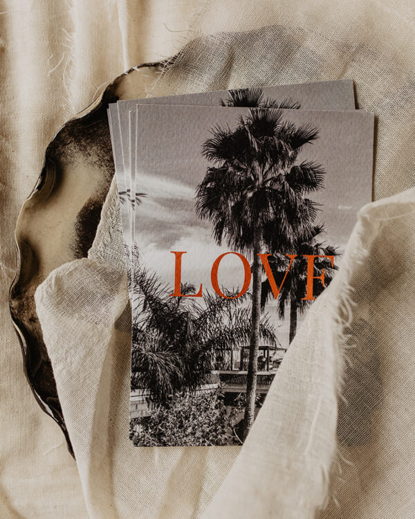 Palm Love – Beetjehome - Afbeelding 2