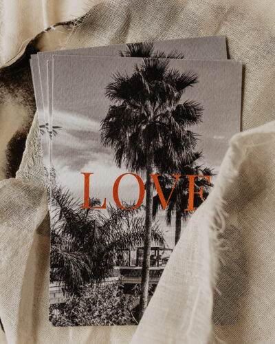 Palm Love – Beetjehome