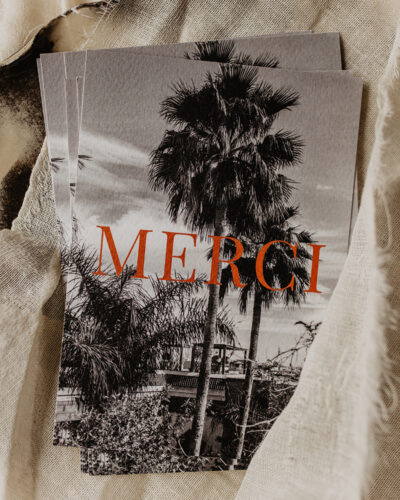 Palm Merci – Beetjehome