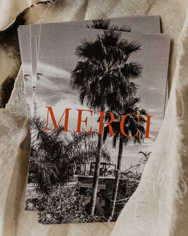 Palm Merci – Beetjehome